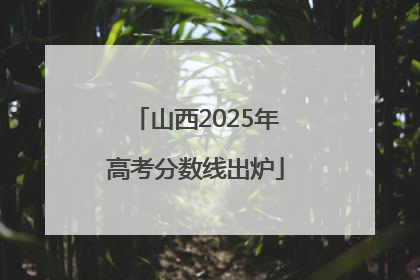 山西2025年高考分数线出炉