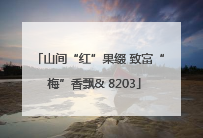 山间“红”果缀 致富“梅”香飘& 8203