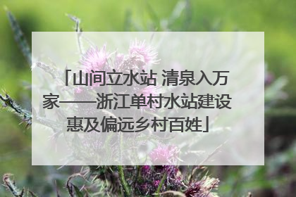 山间立水站 清泉入万家——浙江单村水站建设惠及偏远乡村百姓