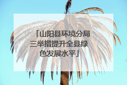 山阳县环境分局三举措提升全县绿色发展水平