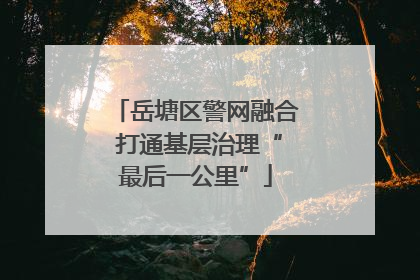 岳塘区警网融合 打通基层治理“最后一公里”