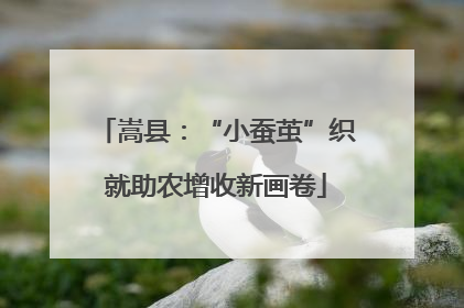嵩县：“小蚕茧”织就助农增收新画卷