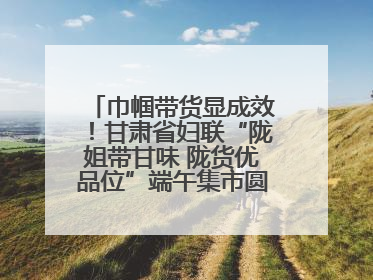 巾帼带货显成效！甘肃省妇联“陇姐带甘味 陇货优品位”端午集市圆满收官