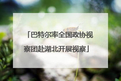 巴特尔率全国政协视察团赴湖北开展视察