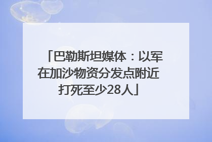 巴勒斯坦媒体：以军在加沙物资分发点附近打死至少28人