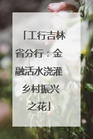 工行吉林省分行：金融活水浇灌 乡村振兴之花