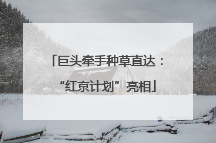 巨头牵手种草直达：“红京计划”亮相