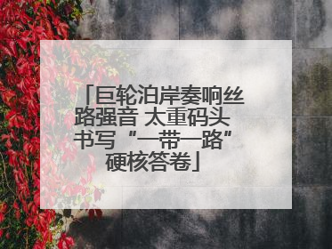 巨轮泊岸奏响丝路强音 太重码头书写“一带一路”硬核答卷