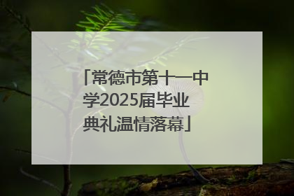 常德市第十一中学2025届毕业典礼温情落幕