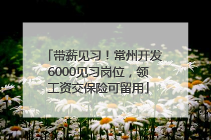 带薪见习！常州开发6000见习岗位，领工资交保险可留用