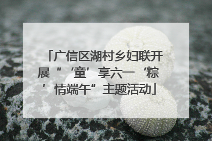 广信区湖村乡妇联开展“‘童’享六一‘粽’情端午”主题活动