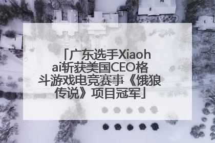 广东选手Xiaohai斩获美国CEO格斗游戏电竞赛事《饿狼传说》项目冠军