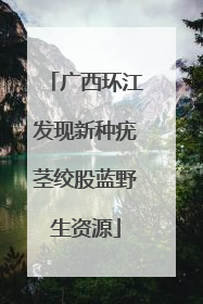 广西环江发现新种疣茎绞股蓝野生资源