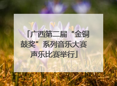 广西第二届“金铜鼓奖”系列音乐大赛声乐比赛举行