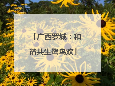 广西罗城：和谐共生鹭鸟欢