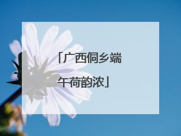广西侗乡端午荷韵浓