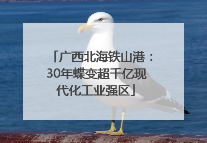 广西北海铁山港：30年蝶变超千亿现代化工业强区