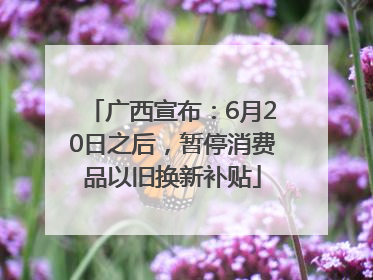 广西宣布：6月20日之后，暂停消费品以旧换新补贴