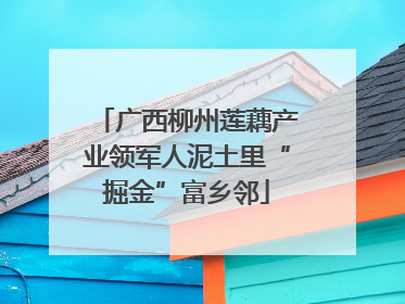 广西柳州莲藕产业领军人泥土里“掘金”富乡邻