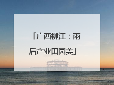 广西柳江：雨后产业田园美