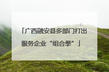 广西融安县多部门打出服务企业“组合拳”
