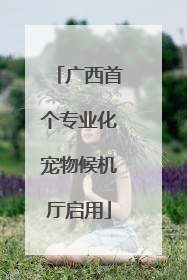 广西首个专业化宠物候机厅启用