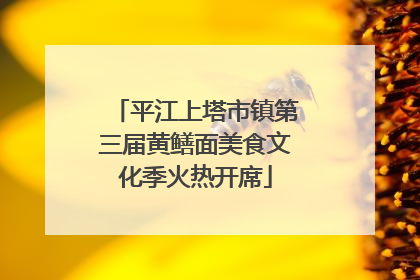 平江上塔市镇第三届黄鳝面美食文化季火热开席