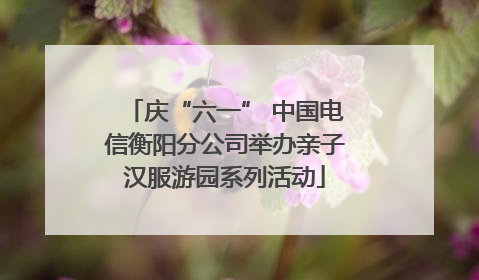 庆“六一” 中国电信衡阳分公司举办亲子汉服游园系列活动