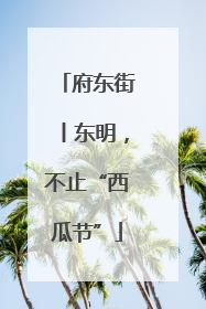 府东街丨东明，不止“西瓜节”