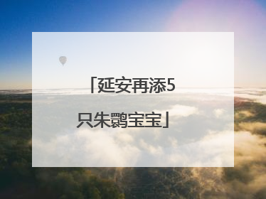 延安再添5只朱鹮宝宝