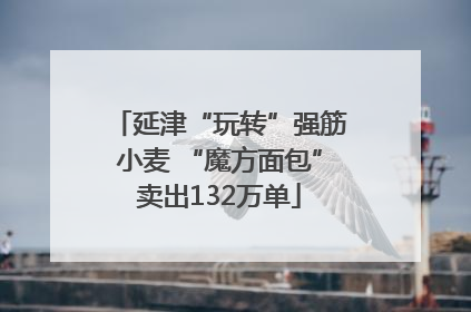 延津“玩转”强筋小麦 “魔方面包”卖出132万单
