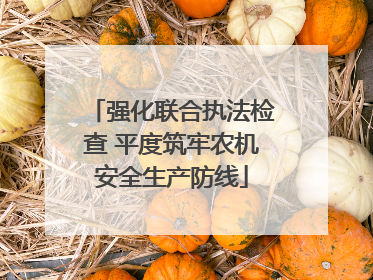 强化联合执法检查 平度筑牢农机安全生产防线