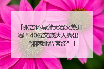 张吉怀导游大赛火热开赛！40位文旅达人秀出“湘西北待客经”
