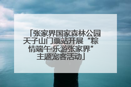 张家界国家森林公园天子山门票站开展“粽情端午·乐游张家界”主题宠客活动