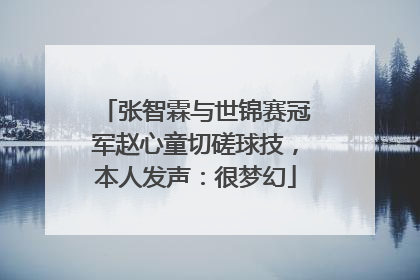 张智霖与世锦赛冠军赵心童切磋球技，本人发声：很梦幻