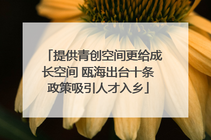 提供青创空间更给成长空间 瓯海出台十条政策吸引人才入乡