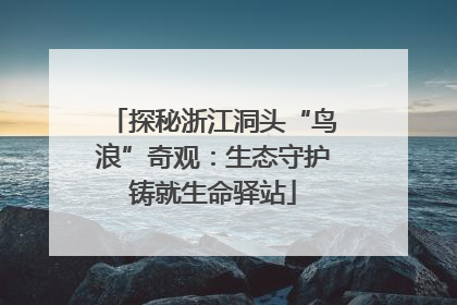 探秘浙江洞头“鸟浪”奇观：生态守护铸就生命驿站