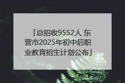 总招收9552人 东营市2025年初中后职业教育招生计划公布