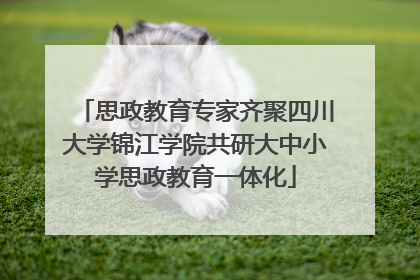思政教育专家齐聚四川大学锦江学院共研大中小学思政教育一体化