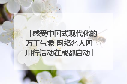 感受中国式现代化的万千气象 网络名人四川行活动在成都启动