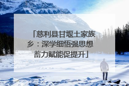 慈利县甘堰土家族乡：深学细悟强思想 蓄力赋能促提升