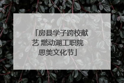 房县学子跨校献艺 燃动湖工职院思美文化节