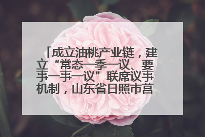 成立油桃产业链，建立“常态一季一议、要事一事一议”联席议事机制，山东省日照市莒县果庄镇——13个党小组“全周期”育果