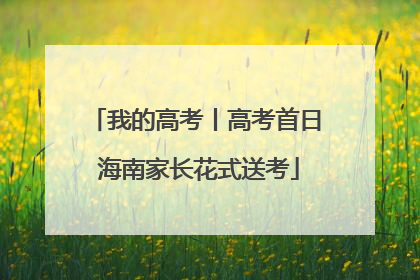 我的高考丨高考首日 海南家长花式送考