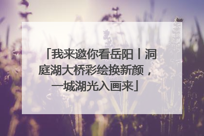 我来邀你看岳阳丨洞庭湖大桥彩绘换新颜，一城湖光入画来