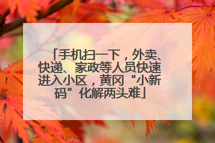 手机扫一下，外卖、快递、家政等人员快速进入小区，黄冈“小新码”化解两头难