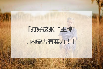 打好这张“王牌”，内蒙古有实力！