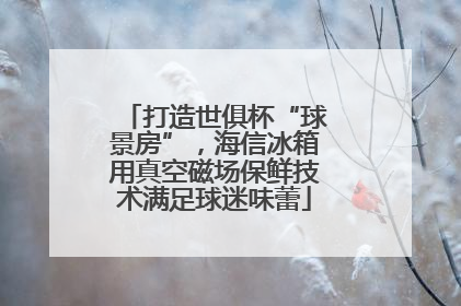 打造世俱杯“球景房”，海信冰箱用真空磁场保鲜技术满足球迷味蕾