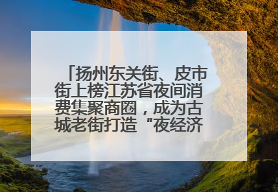扬州东关街、皮市街上榜江苏省夜间消费集聚商圈，成为古城老街打造“夜经济”的样本
