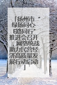 扬州市“绿扬同心·E路同行”推进会召开，网络统战助力民营经济高质量发展行动启动